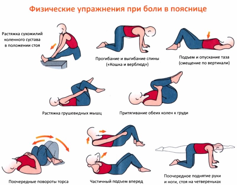 Упражнения для позвоночника в домашних условиях при болях в Упражнения для позвоночника в домашних условиях при болях в